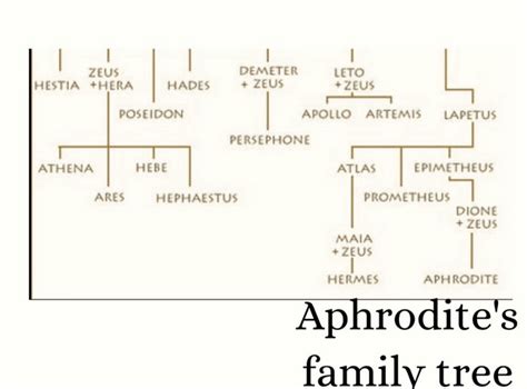 who were aphrodite's brothers